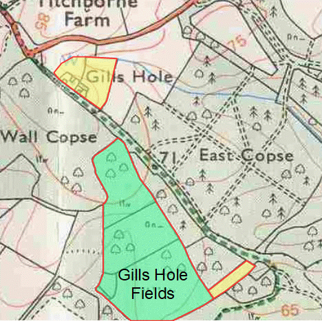 Modern map showing fields occupied by William Edney in 1842 (yellow) and other fields named Gills Hole Fields (green)
