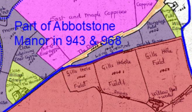 1842 Tithe Map showing William Edney's fields (yellow) - north to the left